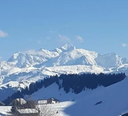 Praz De Lys * Taninges