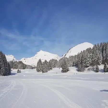 Praz De Lys * Taninges