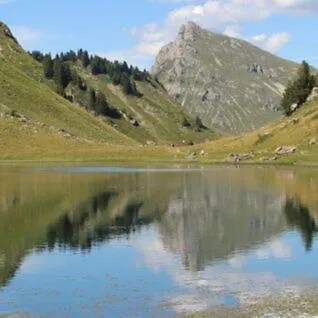 Apartment Praz De Lys