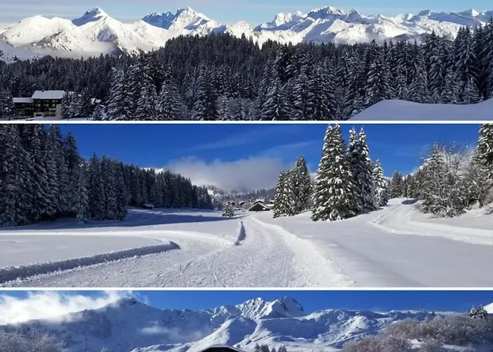 Praz De Lys * Taninges